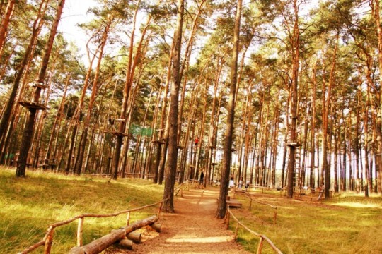 Parcours aventure : l’endroit idéal pour distraire vos enfants
