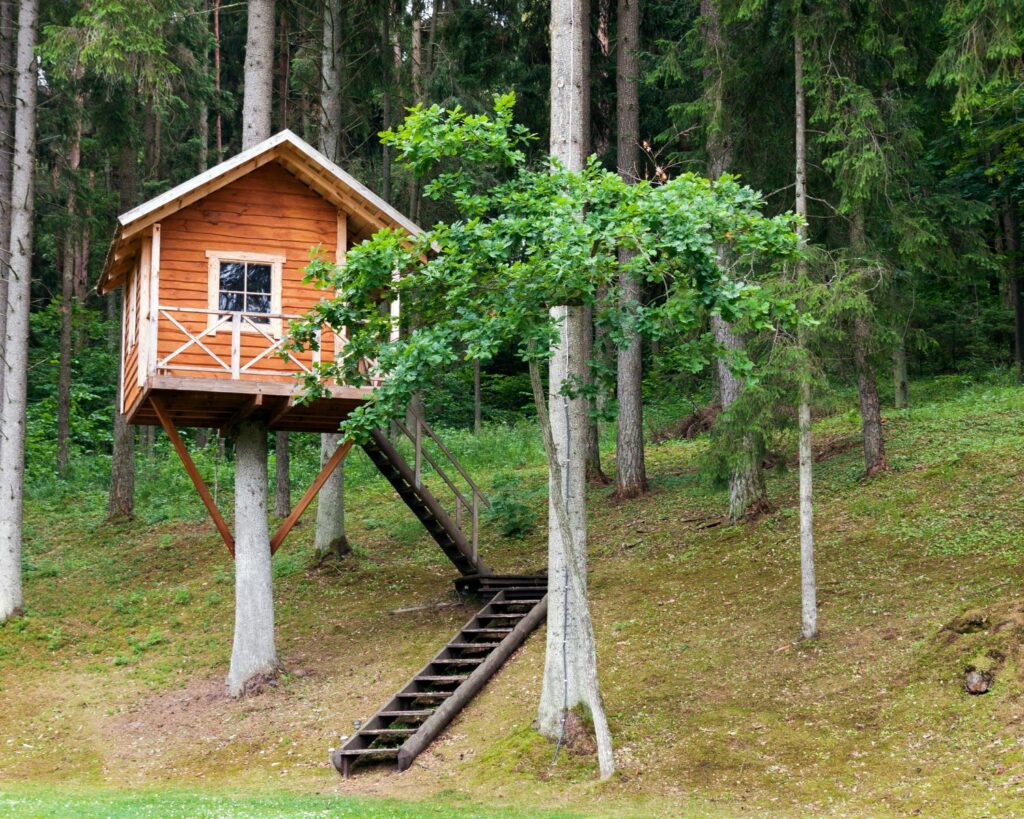 Cabane perchée dans les arbres