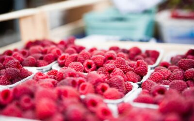 Une balade gourmande dans les marchés de Strasbourg : Le Marché du Neudorf, Le Marché des Éclusiers, etc.