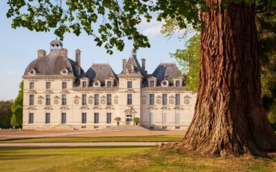 Les plus beaux châteaux de France à visiter absolument