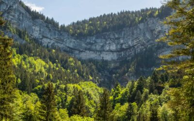 Les parcs naturels français à explorer pour les amoureux de la nature