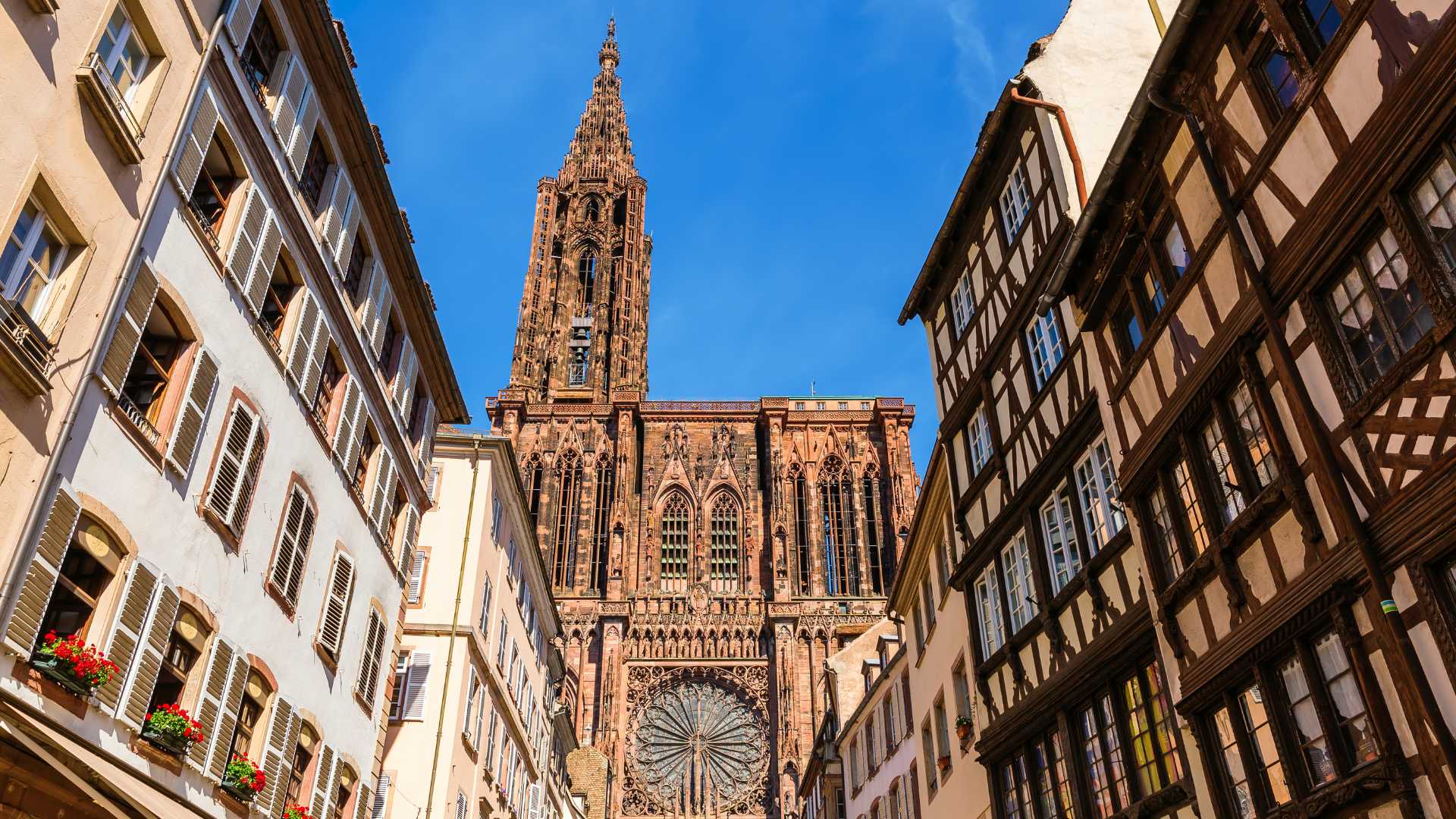 Les jardins et parcs de Strasbourg pour une pause nature en ville