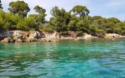 Les festivals estivaux incontournables dans le sud de la France