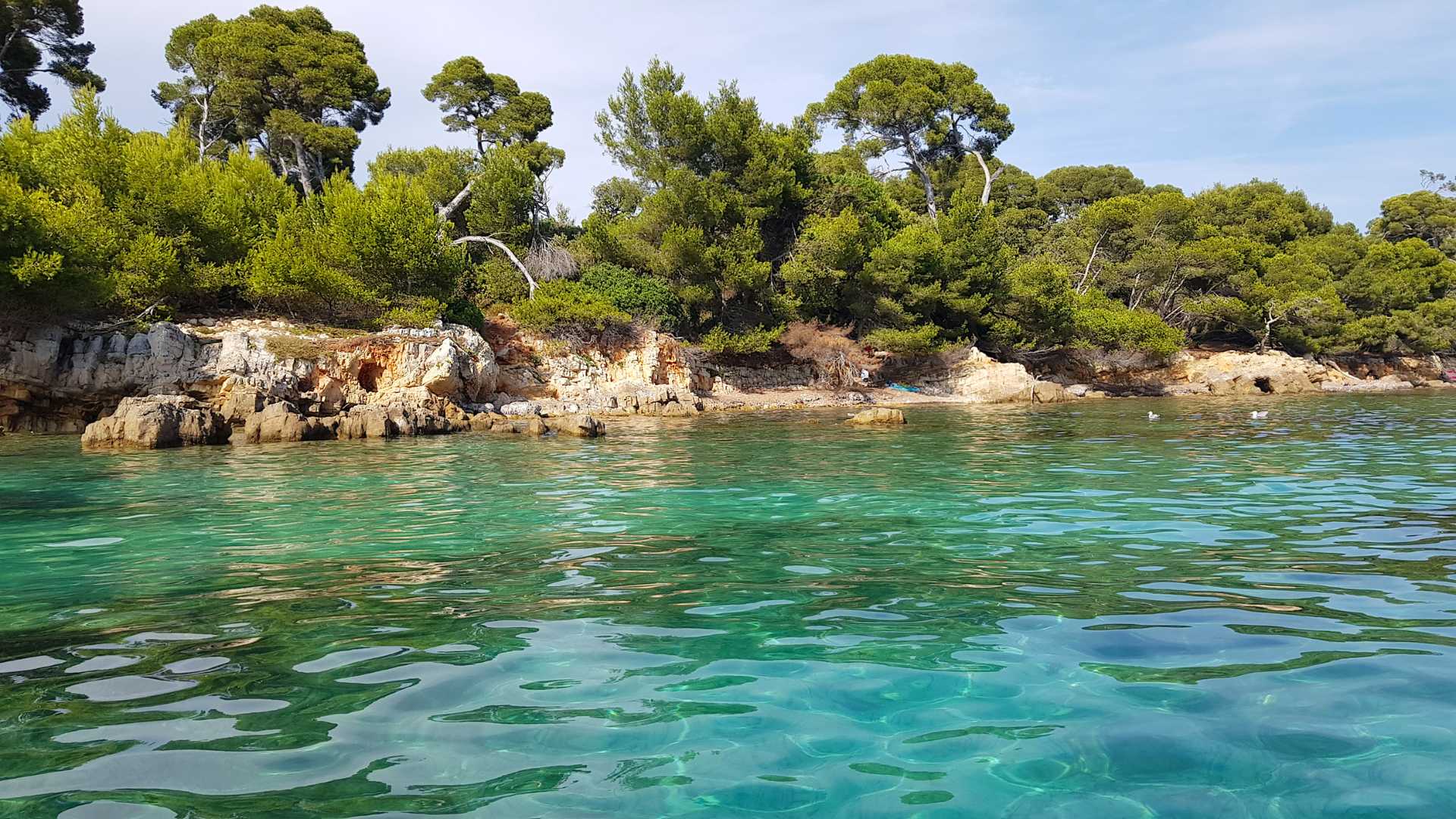 Les festivals estivaux incontournables dans le sud de la France