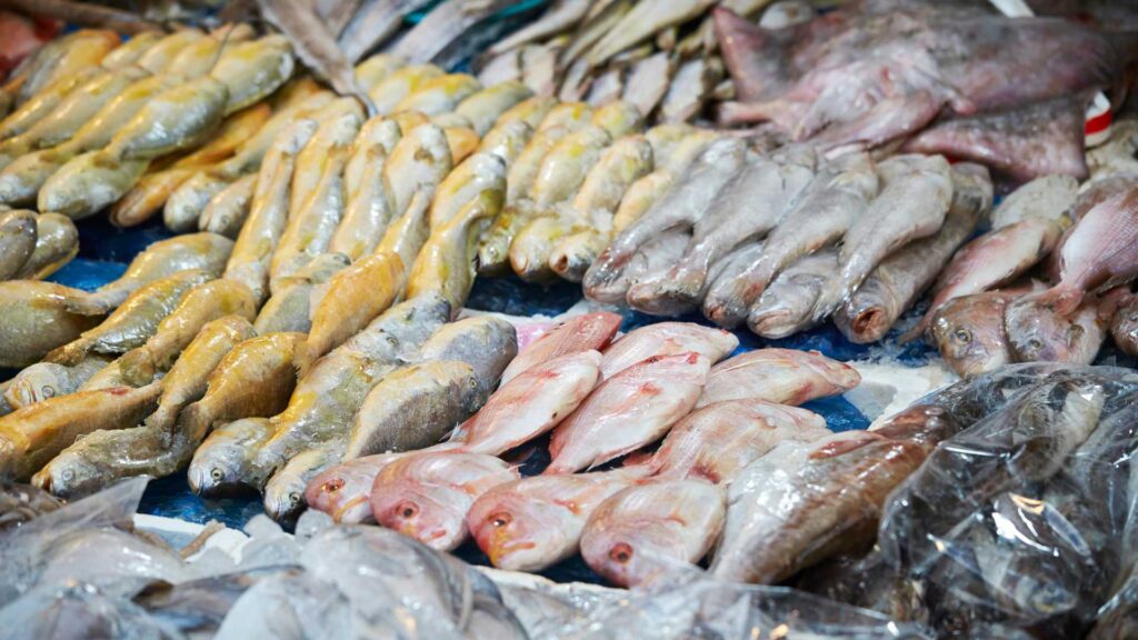 Étalage d'un poissonnier 