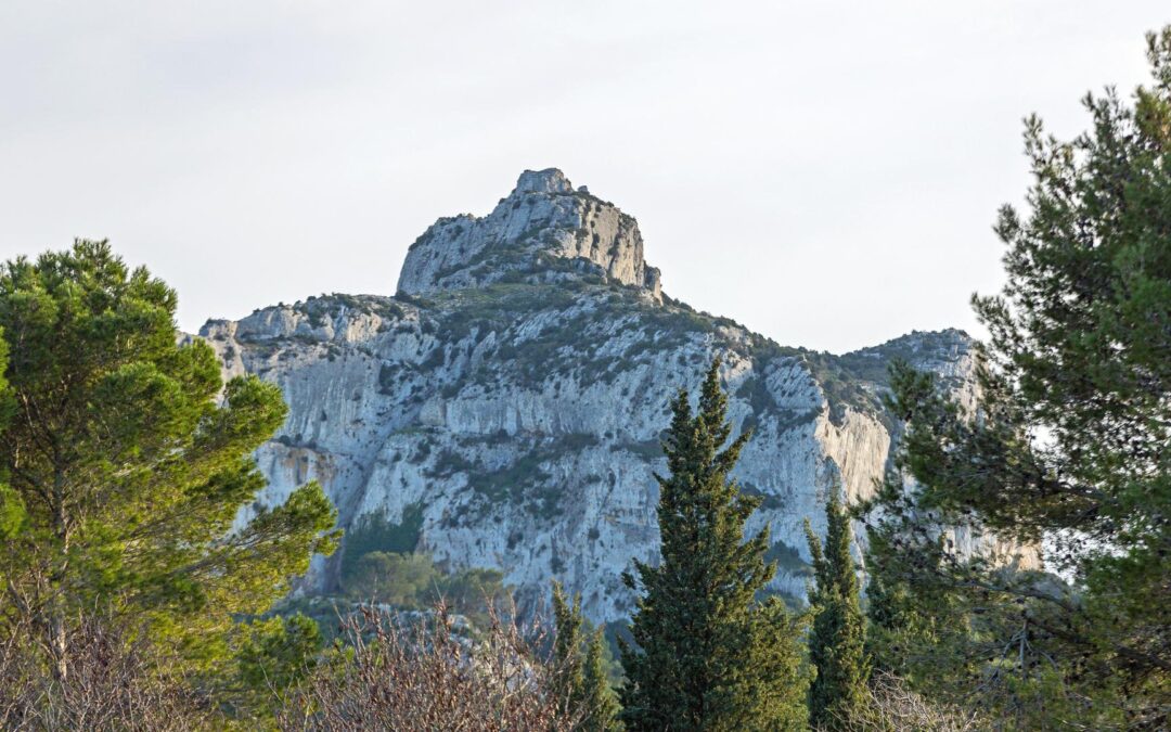 Escapade dans les Alpilles : villages pittoresques et paysages époustouflants