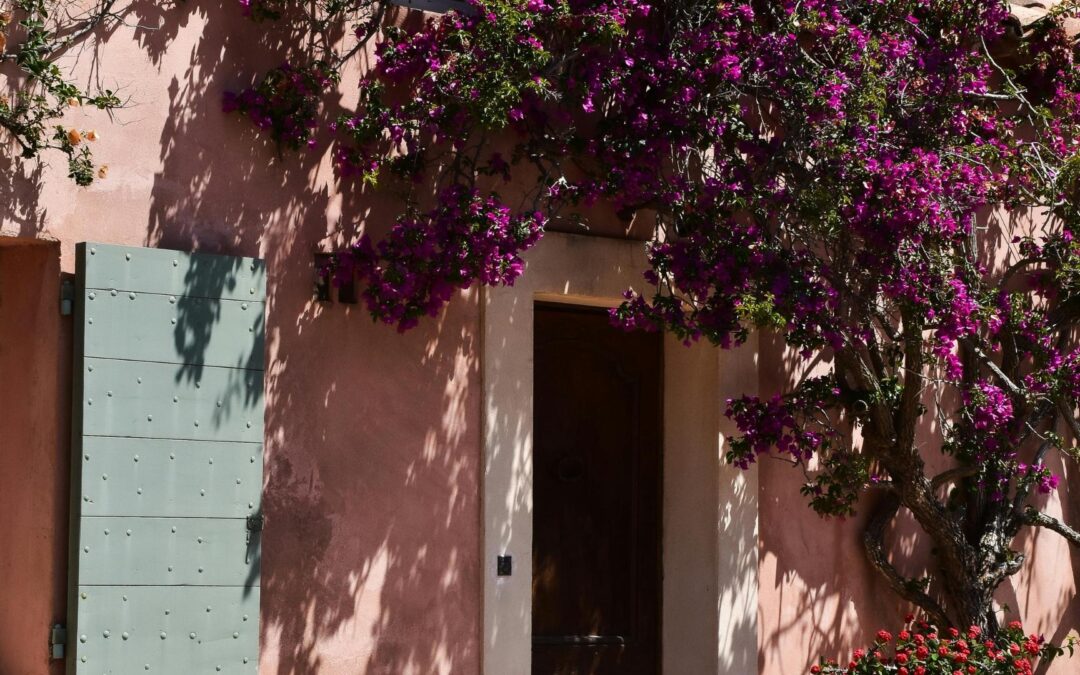 Séjourner dans un mas provençal : l’expérience authentique du Sud