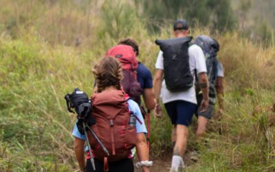 Les plus belles randonnées en France pour les amoureux de la nature